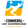 Liga Sudamericana